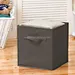 Storage organizer,Foldable Storage Box
